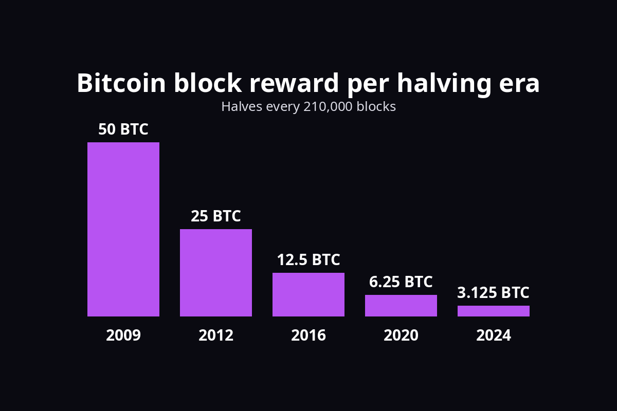 Bar chart of the Bitcoin block reward per halving era: 50 BTC from 2009, 25 BTC from 2012, 12.5 BTC from 2016, 6.25 BTC from 2020 and 3.125 BTC from 2024